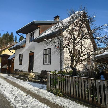 Hisa Hortenzija Luce Luaran gambar