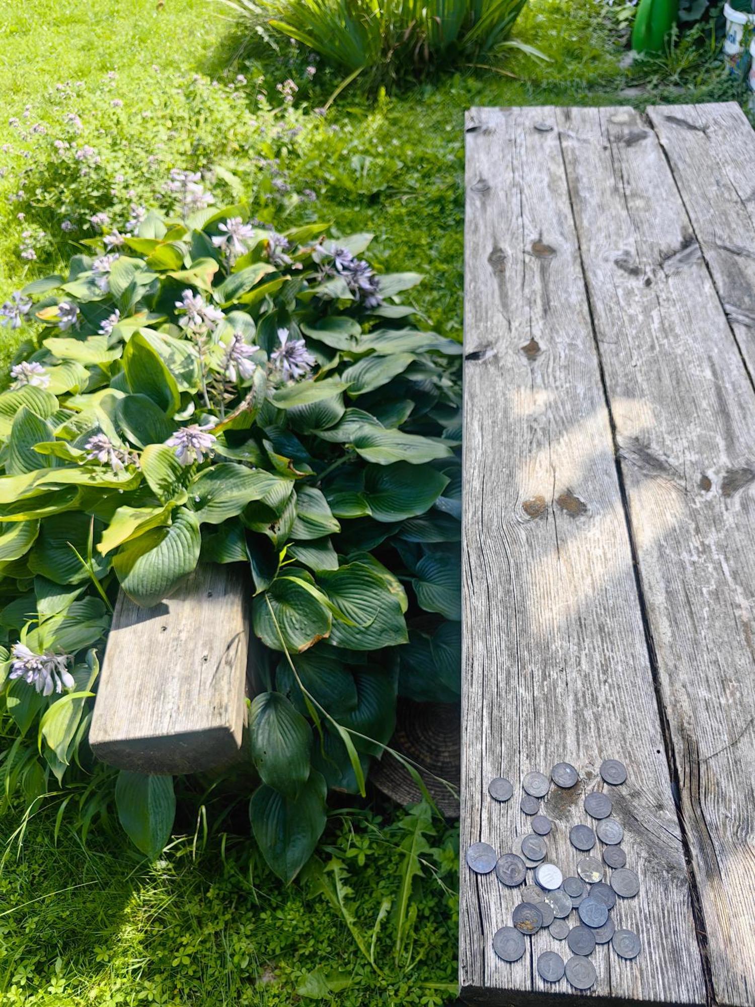 Hisa Hortenzija Luce Luaran gambar
