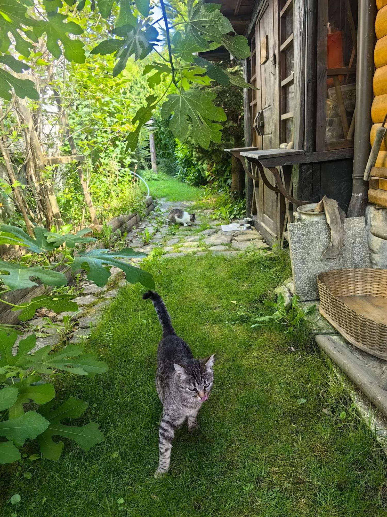 Hisa Hortenzija Luce Luaran gambar
