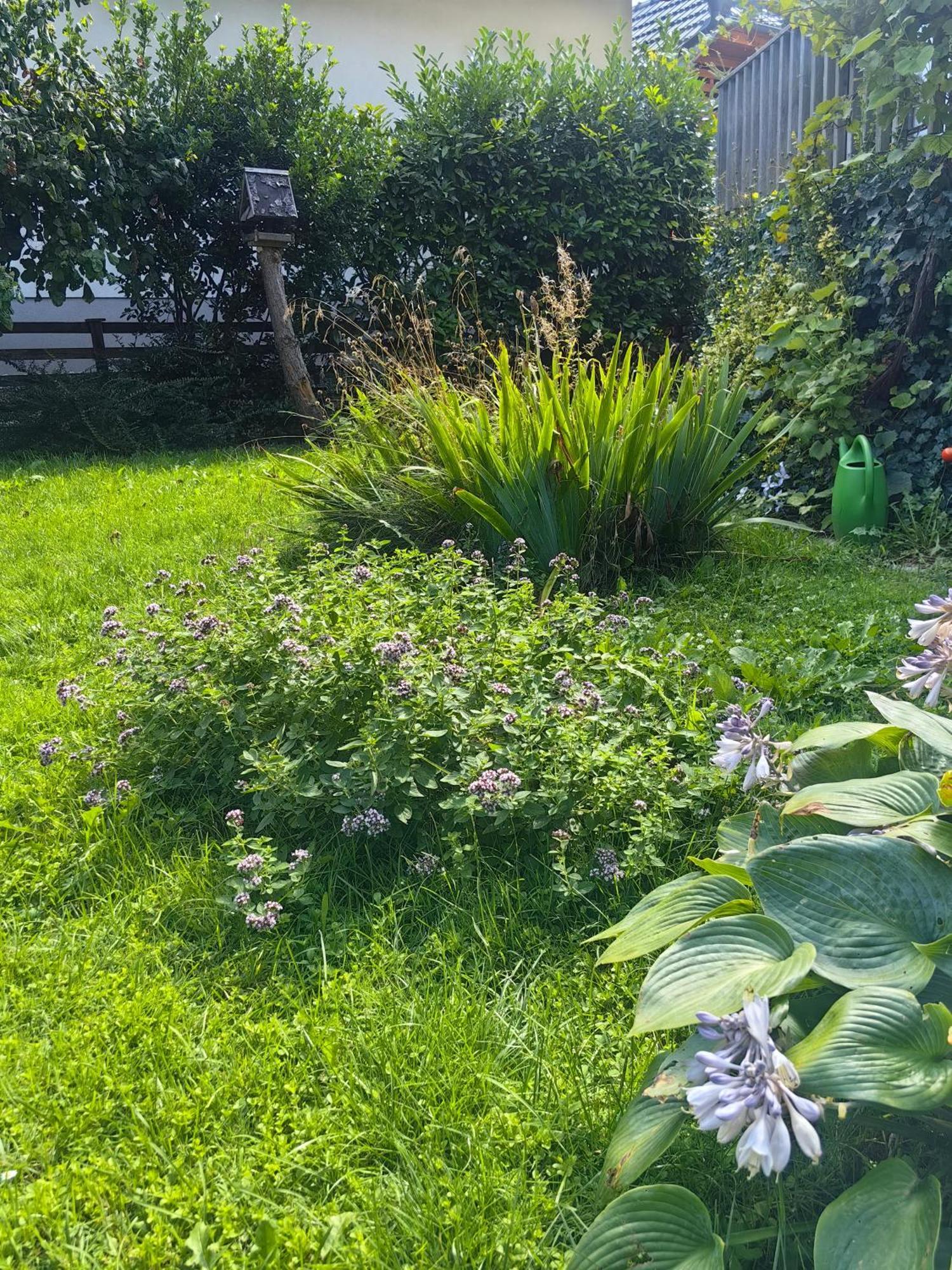 Hisa Hortenzija Luce Luaran gambar