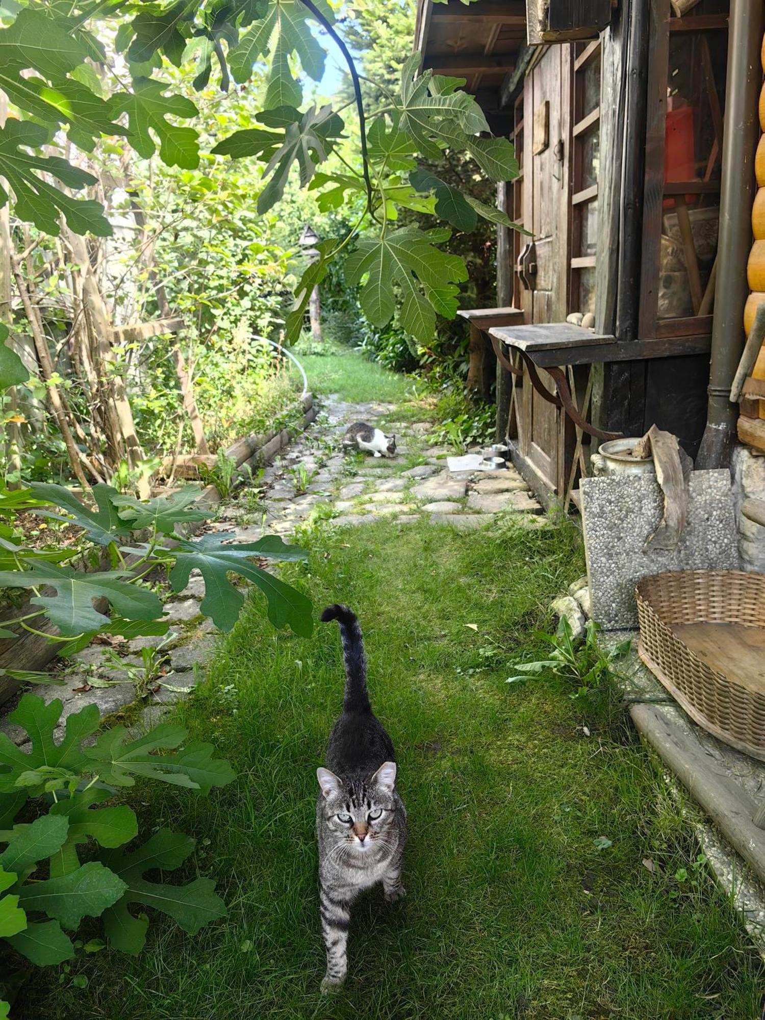 Hisa Hortenzija Luce Luaran gambar